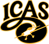 International Council of Airshows