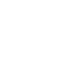 Rose City Airfest